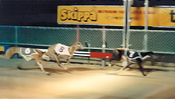 racefinish