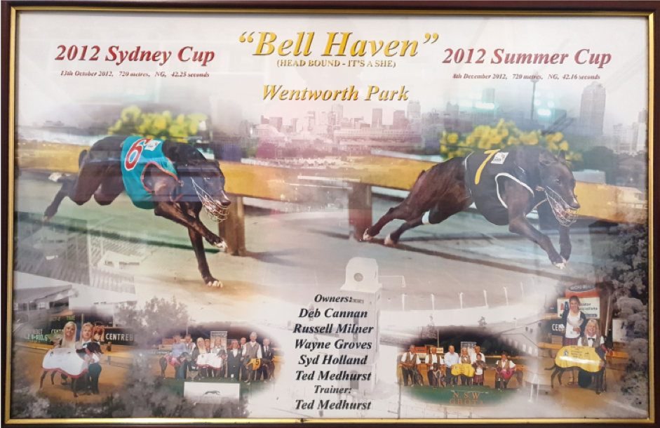 Bell’s 2012 Sydney Cup – Summer Cup double