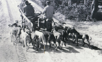 The ingenious horse drawn dog walking machine