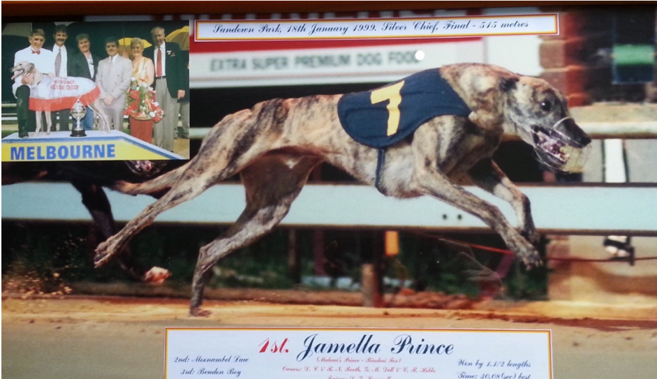 Jamella Prince winning the 1999 Silver Chief at Sandown