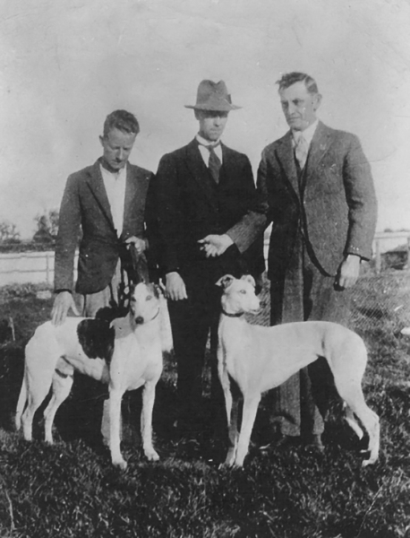 Jenny Jones 1933 NSW Oaks winner