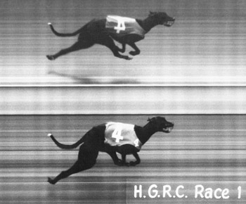 Rambling Jet winning at Hobart